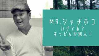 Mr.シャチホコ芸人ハゲ