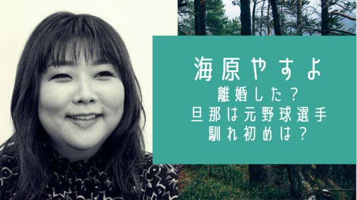 海原やすよ旦那と子供いない理由