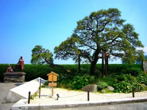 芸人お宮の松の嫁と子供