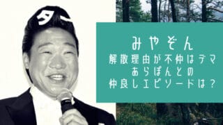 みやぞん解散理由